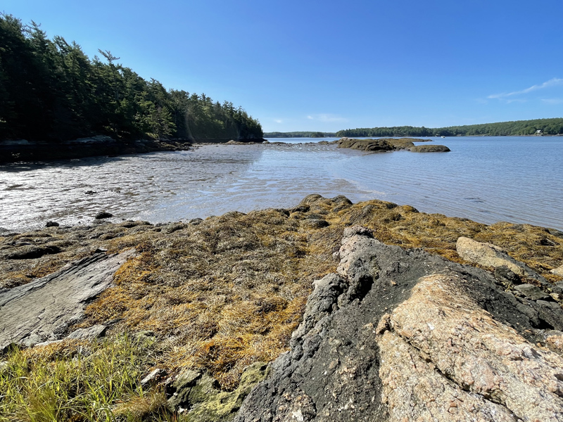 A low tide view of "Thomas' Great Toe" at Bonyun Preserve's Thomas Cove, on Saturday, Sept. 11. (Raye S. Leonard photo)