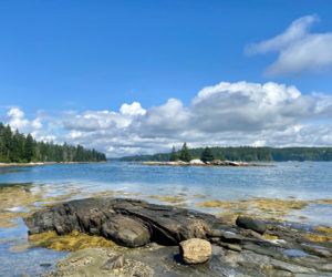 Midcoast Conservancy's service area spans three watersheds - the Medomak River (pictured), Damariscotta Lake, and the Sheepscot River. (Photo courtesy Tim Trumbauer)