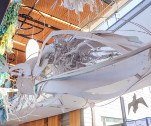 A new, two-story art installation that celebrates ocean life and scientific efforts to understand it hangs from the ceiling at Bigelow Laboratory for Ocean Sciences. The exhibit is the culmination of a three-year project focused on the Gulf of Maine and will open at the laboratory on November 9.