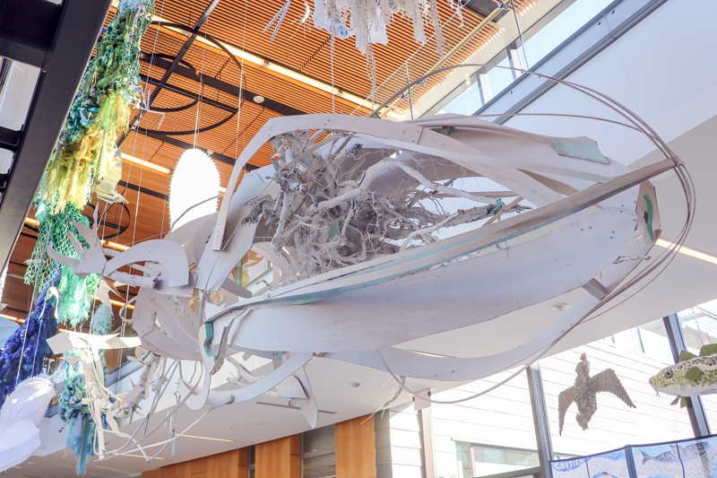 A new, two-story art installation that celebrates ocean life and scientific efforts to understand it hangs from the ceiling at Bigelow Laboratory for Ocean Sciences. The exhibit is the culmination of a three-year project focused on the Gulf of Maine and will open at the laboratory on November 9.