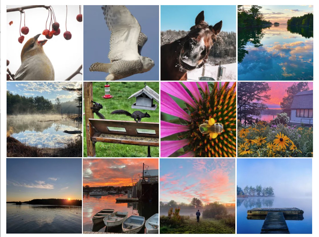 The monthly winners of the 2021 #LCNme365 photo contest.