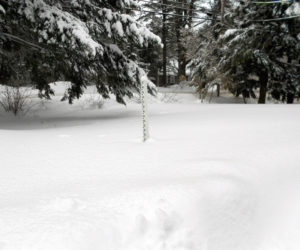 A previous snowfall measures 36 inches on level ground. (Photo courtesy Arlene Cole)