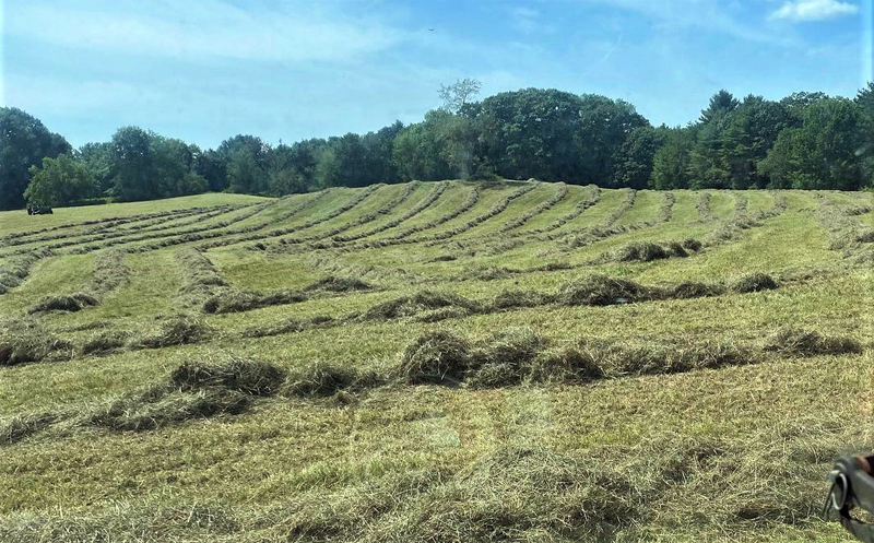 The DeLisles' new hayfield along U.S. Route 1 in Nobleboro, now protected by an agricultural easement through Maine Farmland Trust. (Courtesy photo)