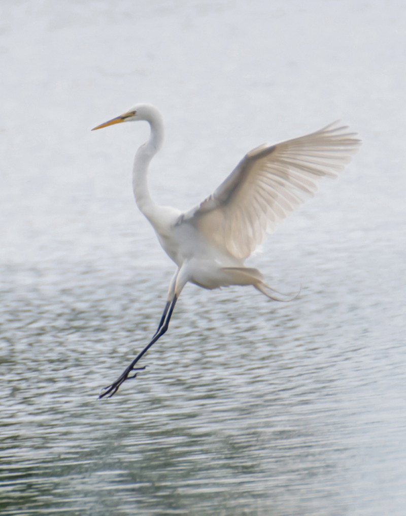 Karlsson Photography At The Bristol Area Library - The Lincoln County News