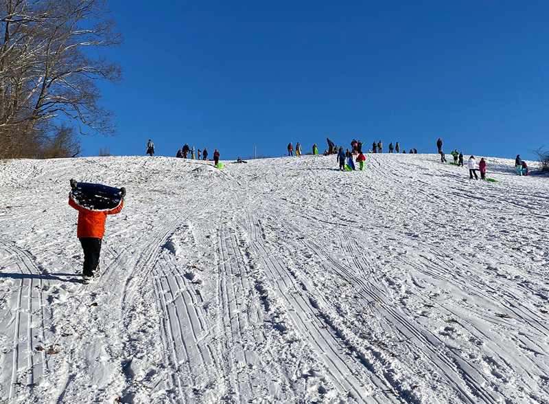 Sledding action on the big hill at Salt Bay Farm during Coastal Rivers sledding party on Jan. 8. (Courtesy photo)