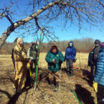 Apple Pruning Techniques at Trout Brook Preserve