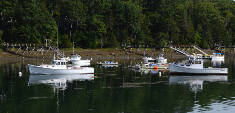 Lobster boats at their moorings near the South Bristol Fishermen's Co-op in 2019. (LCN file photo)