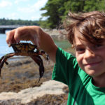 Registration Open for Coastal Rivers’ Camp Mummichog Summer Day Camp