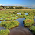 4-H Workshop Explores Marshlands, Climate Change