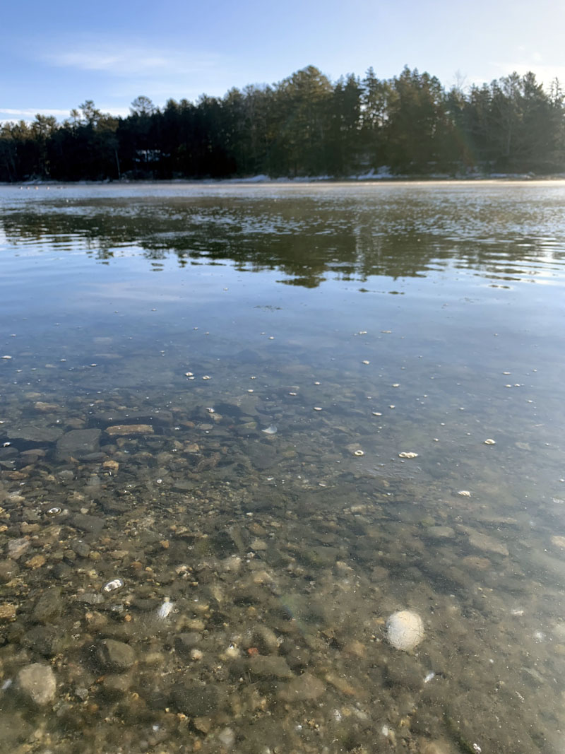 If their contract is finalized, Midcoast Conservancy will start testing water in early April, the latest in an effort by the Bremen Shellfish Conservation Committee to figure out the source of bacterial contamination in Broad Cove. (Anna M. Drzewiecki photo)