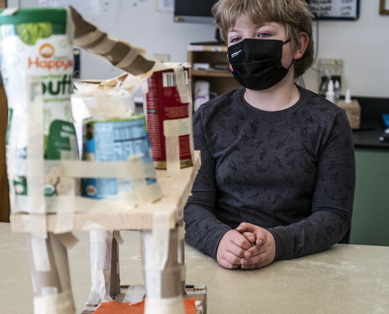 Francis Kahrl, 9, waits patiently for a tarantula to be introduced to one of his classmates' animal enrichment projects at the Chewonki Elementary and Middle School in Wiscasset on March 4. Students know to move slowly, and remain quiet and focused as they observe animal interactions with their designs. (Bisi Cameron Yee photo)