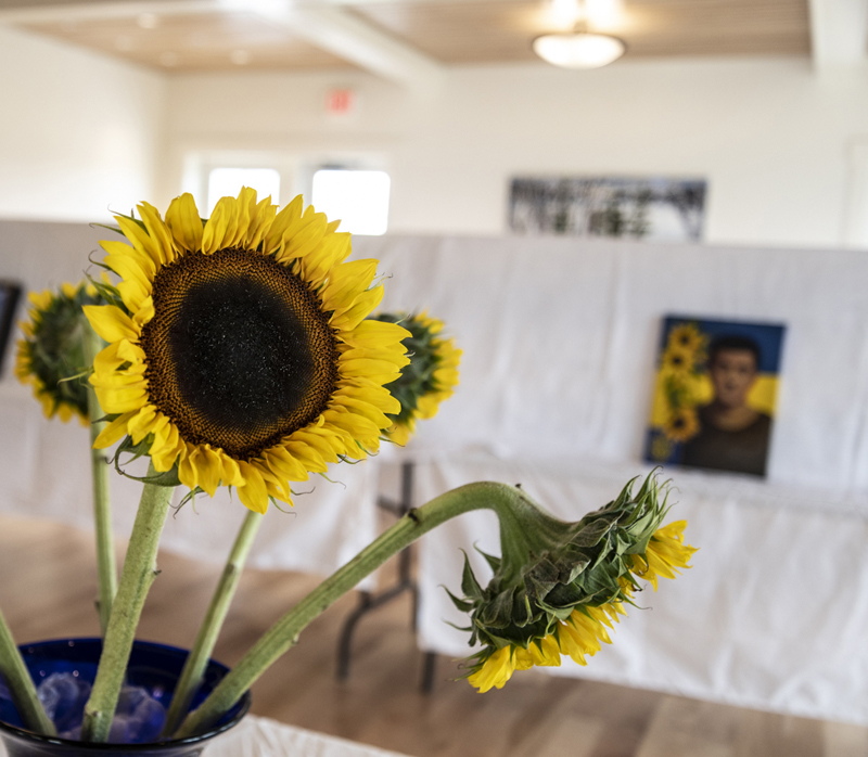 Sunflowers, the national flower of Ukraine, decorate the Art for Ukraine sale at the Coastal Rivers Conservation Trust headquarters at Round Top Farm in Damariscotta on April 29. (Bisi Cameron Yee photo)