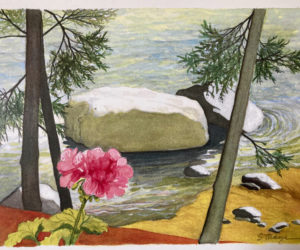 Edgecomb artist Suzi Thayer uses watercolor to depict scenes of the Maine environment. (Photo courtesy Suzi Thayer)
