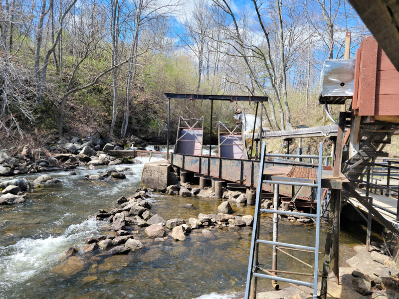 The present-day equipment used for harvesting alewives. Most of the harvest is sold for lobster bait. (Laurie McBurnie photo)