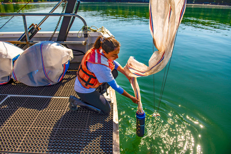 University of Maine student researcher Autumn Lauria samples plankton from the deck of the R/V Ira C., in 2019. (Courtesy photo)