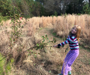 A "weed warrior" hard at work. (Courtesy photo)