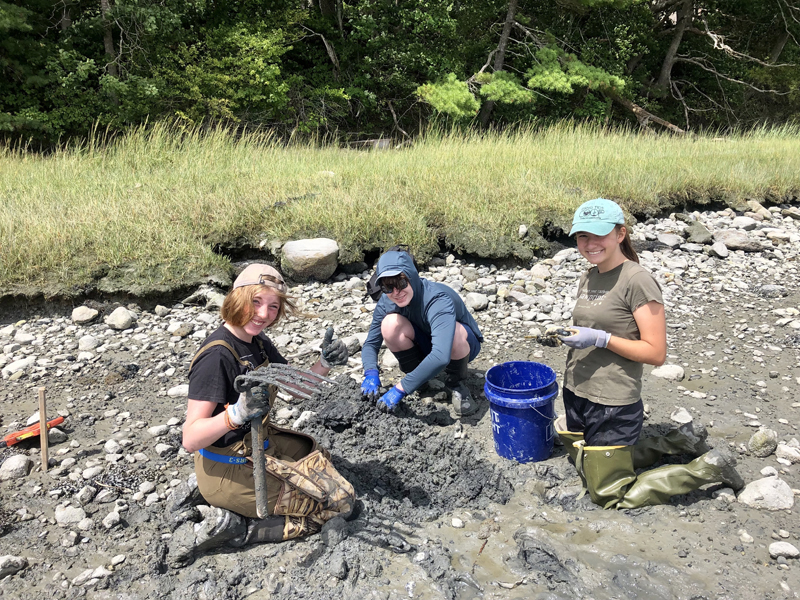 From left: Lincoln Academy students Alicia Flis, Henry Maddox, and Mira Hartmann survey the mudflats to study shellfish populations in the upper river. (Photo courtesy Sarah Risley)