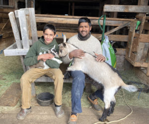 Keiran Roopchand and Anil Roopchand with this year's kid goats. (Photo courtesy Kelly Payson-Roopchand)