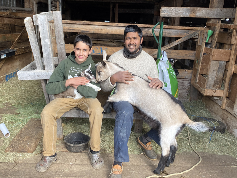 Keiran Roopchand and Anil Roopchand with this year's kid goats. (Photo courtesy Kelly Payson-Roopchand)