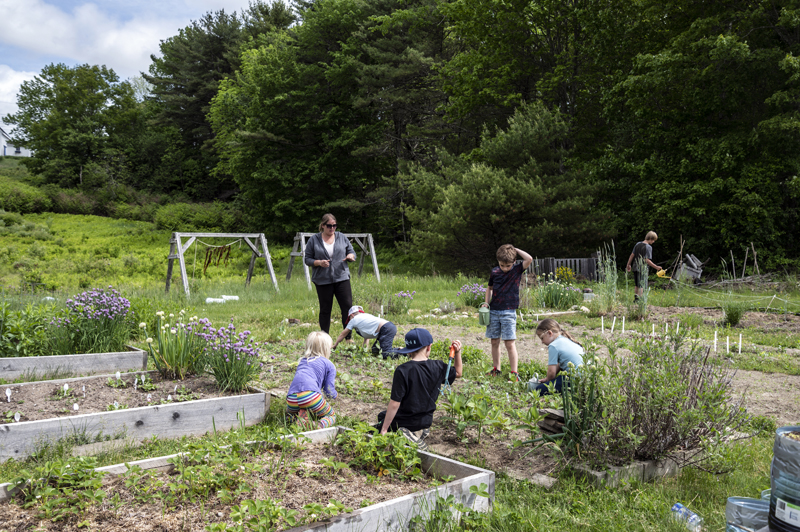 Eddy School Garden Club Cultivates Learning The Lincoln