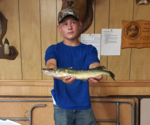 Wiscasset Rod and Gun Club free kids fishing derby was held on Saturday, June 25 at the Wiscasset Rod and Gun Club. Yellow perch category first place winner weighing .48 lbs caught by Tacoma Baker. (Photo courtesy Timothy Soule)