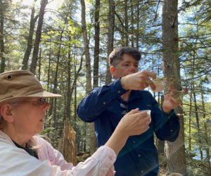 State entomologist Colleen Teerling and Coastal Rivers Executive Director Steven Hufnagel release predatory beetles onto a hemlock infested with the hemlock woolly adelgid insect near Half Moon Pond in Bristol. (Photo courtesy Coastal Rivers Conservation Trust)