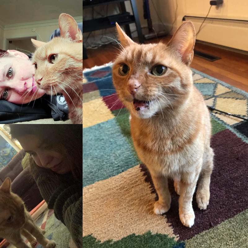 All Paws Pet Sitting's Sarah Caton, Maia Zewert, and Julie Greenleaf all enjoyed floor time with Pixel and have the photographic evidence to prove it.