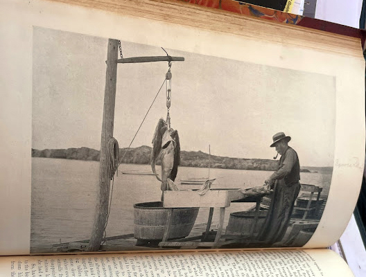 A picture included with the short story, "The Fog that Cleared Things," shows Reuben "Squire" Davis, a Monhegan Island fisherman, with a catch. The story was published in Outing in June 1903 and is part of a homemade anthology book about Monhegan Island that was gifted to the Monhegan Museum of Art & History on Saturday, July 23. (Evan Houk photo)