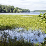 Damariscotta Lake Water Quality Alert