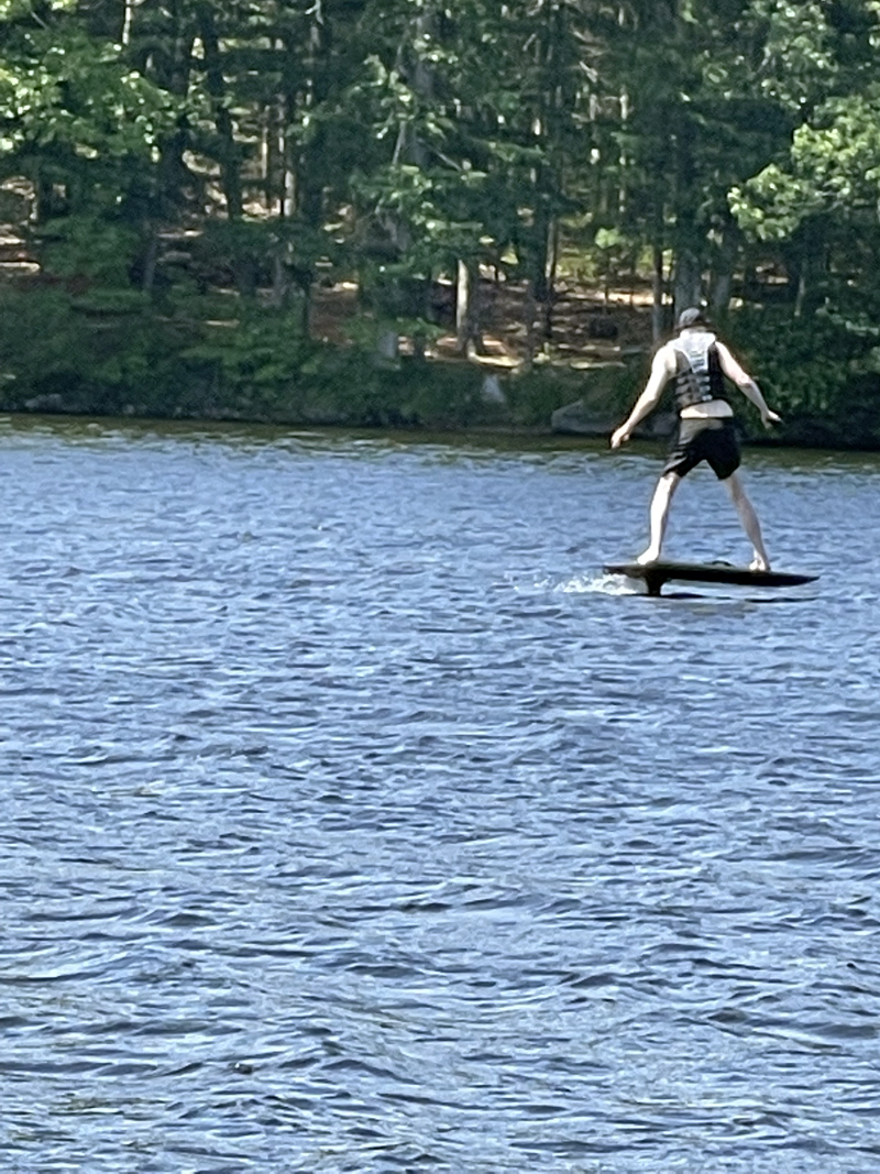 You never know what you'll see on the Pond! (Photo courtesy Matthew Hanly)