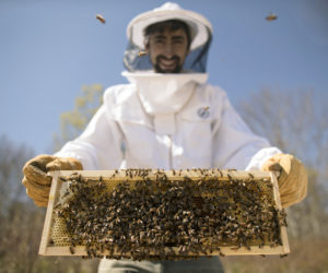 A multi-course family-style farm dinner presented by Applecroft Catering and Wanderwood Wednesday, Aug. 17, celebrates the humble and hardworking pollinators whose efforts create the abundance of summer. (Photo courtesy Justin French)