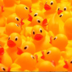 Rubber Ducky Race Moved to Pemaquid Mill