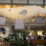 Whale Done! Skidompha Atrium Welcomes a Denizen of the Deep
