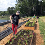 Boothbay Collaboration Seeds New School Garden Program