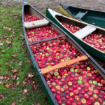 Carpenter’s Boat Shop Cider Press Day Open to All