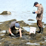 Fall Marine Ecology Field Research Opportunity for High School Students