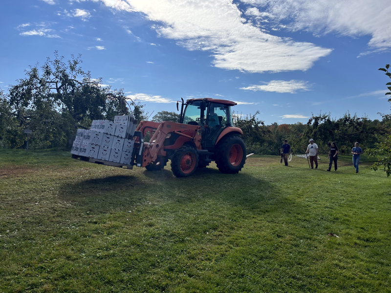 Mike Reny, of Biscay Orchards, drives a tractor carrying apples picked by volunteers. (Photo courtesy Healthy Lincoln County)