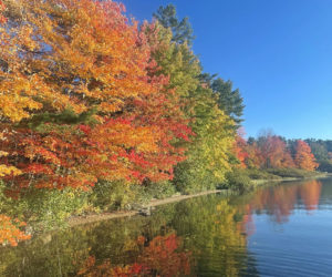 Leaves change along Biscay Pond. (Photo courtesy Matthew Hanly)