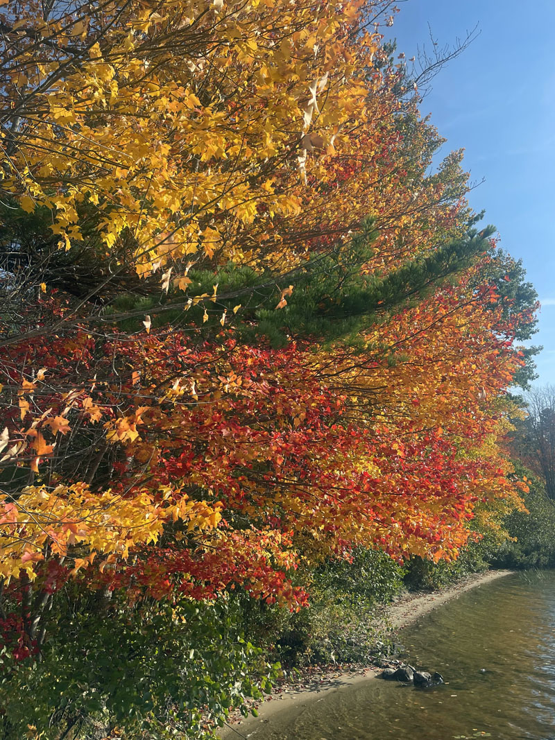 Fall is all its glory. (Photo courtesy Matthew Hanly)