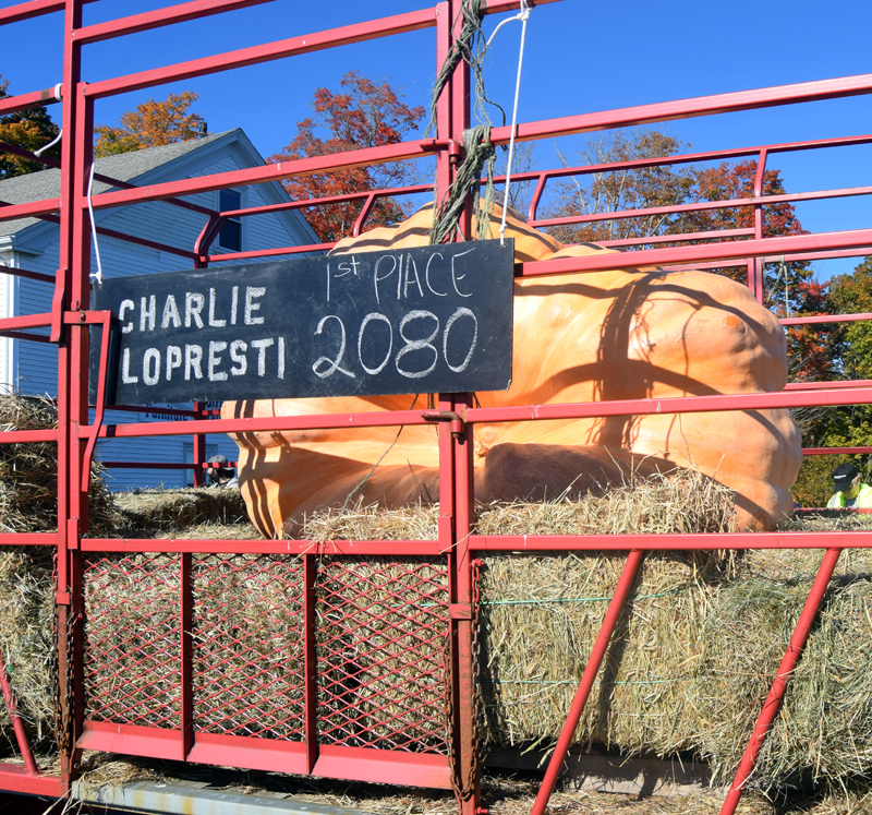 Charlie LoprestiÂ’s prize winning pumpkin rides comfortably during the Damariscotta Pumpkinfest and Regatta parade, Saturday, Oct. 8. Lopresti, WGMEÂ’s chief meteorologist, served as master of ceremonies for the 2022 Damariscotta Pumpkinfest & Regatta weigh-off and took the top prize in this yearÂ’s competition with this 2,080-pound fruit. (Alec Welsh photo)