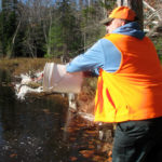 Brook Trout Stocked in Ross Pond