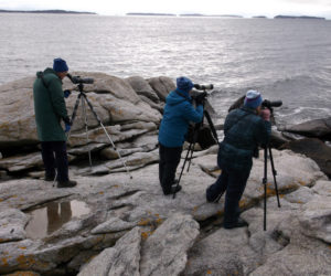 Birders scan for winter sea ducks at Birch Point State Park as part of a previous Christmas bird count. From left: Ted Mohlie, Delia Mohlie, and Suzannah Reed. (Photo courtesy Delia Mohlie)