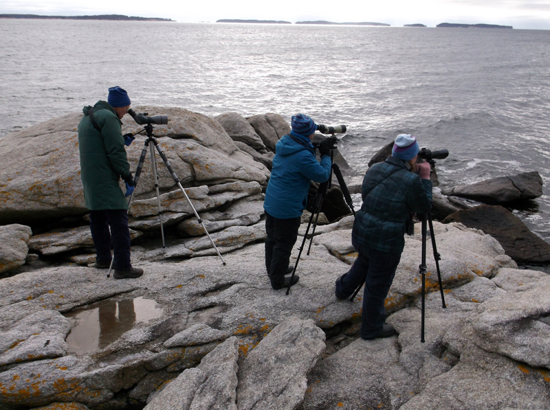 Birders scan for winter sea ducks at Birch Point State Park as part of a previous Christmas bird count. From left: Ted Mohlie, Delia Mohlie, and Suzannah Reed. (Photo courtesy Delia Mohlie)