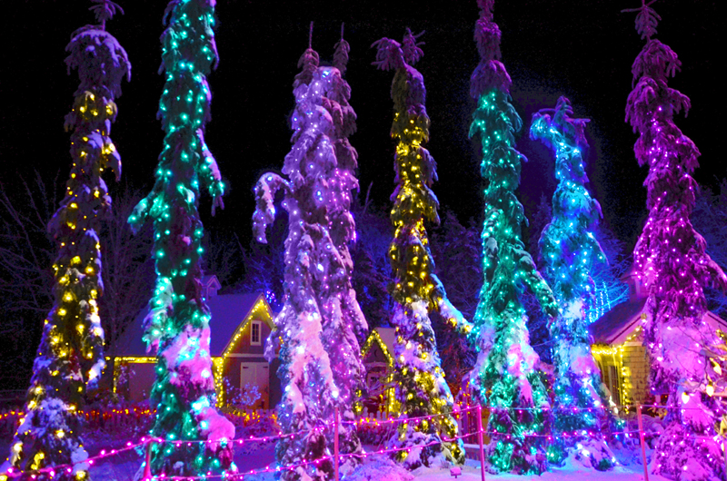 For the fifth year in a row, Coastal Maine Botanical Gardens Gardens Aglow is nominated for the annual USA Today 10Best Readers Choice Award for the Best Botanical Garden Holiday Lights. (Photo courtesy Coastal Maine Botanical Gardens)