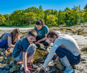 Local middle school students are invited to participate in a hands-on field experience at the Darling Marine Center in Walpole on Saturday, Nov. 19. (Photo courtesy Darling Marine Center)