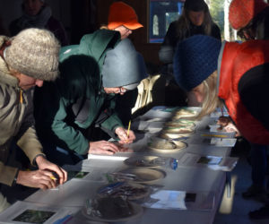 Workshop participants choose seeds from native plants to sow in pots at Hidden Valley Nature Center on Friday, Dec. 2 during a seed-sowing workshop presented by Wild Seed Project. Winter is a busy time for native plants as they scatter their seeds and prepare to sprout in the spring, according to Emily Baisden, seed program manager at Wild Seed Project. (Elizabeth Walztoni photo)