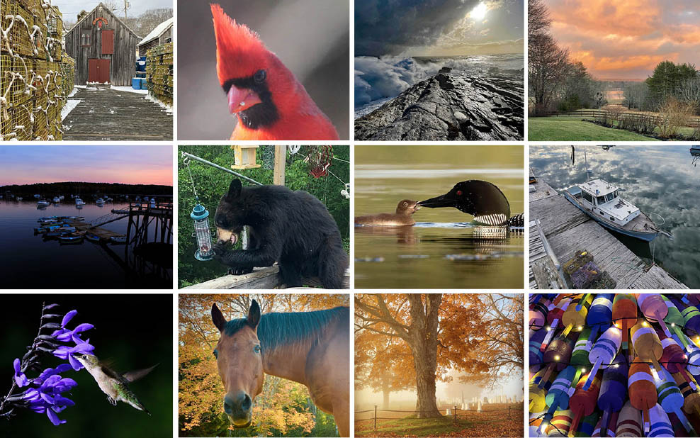 The monthly winners of the 2022 #LCNme365 photo contest.