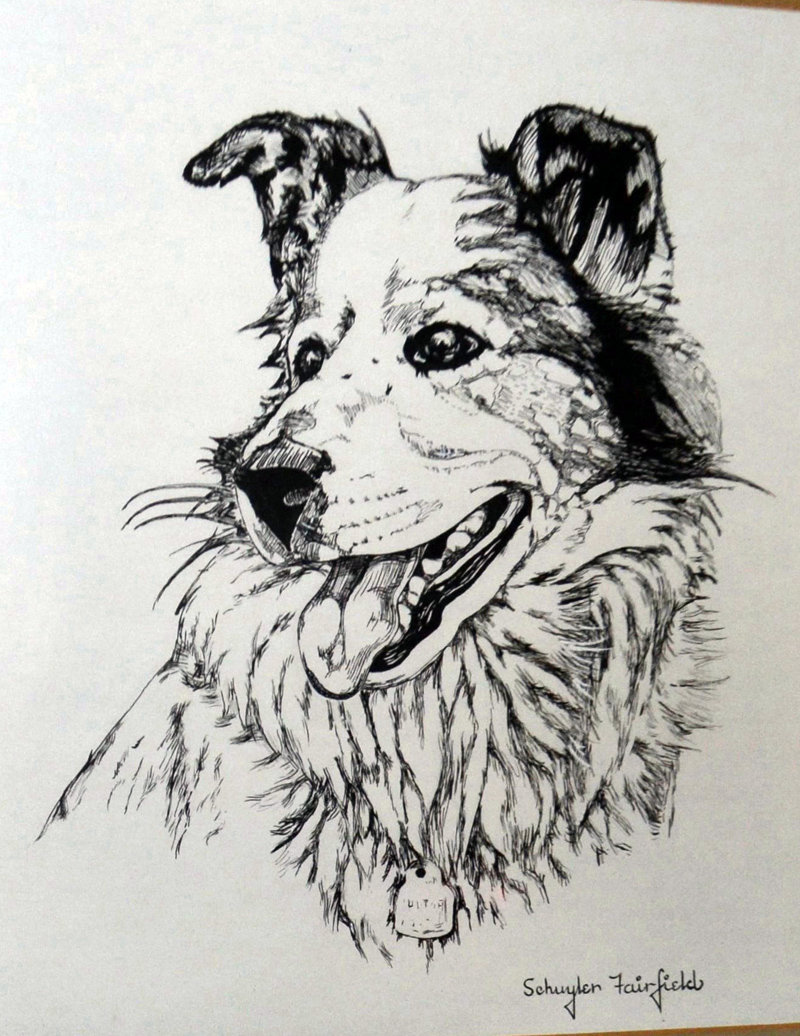 A talented artist, Schuyler Fairfield produced this charcoal drawing of the family dog before he graduated from high school. (Photo courtesy Fairfield family)