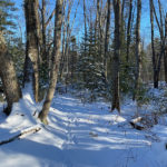 Coastal Rivers Offers ‘Winter Wanders’ Guided Hikes