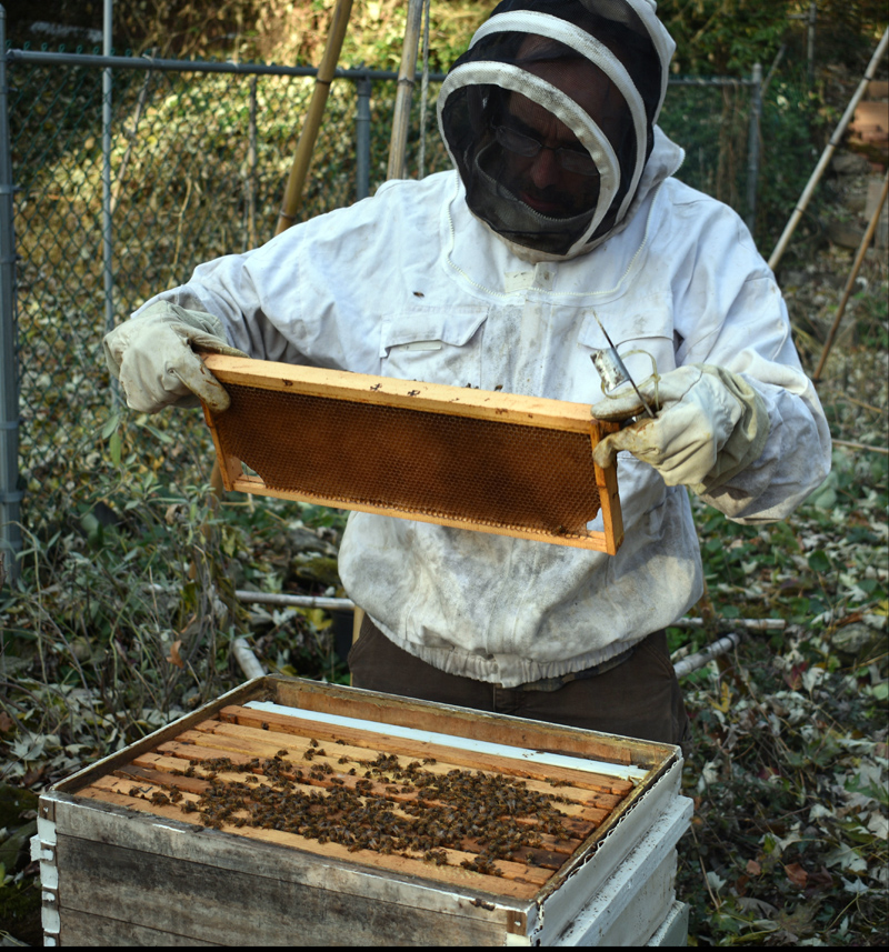 Members of the Knox-Lincoln County Beekeepers are ready to share the delights of the fascinating hobby of beekeeping during a seven-week interactive, in-person course. (Photo courtesy Dozier Bell)